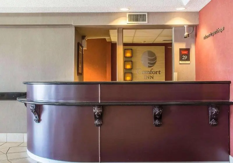 ホテル Comfort Inn