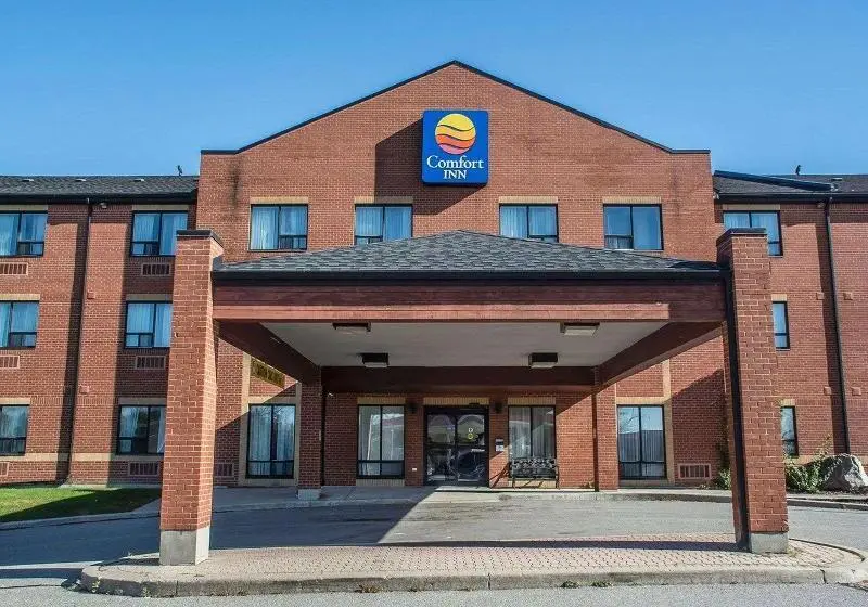 ホテル Comfort Inn
