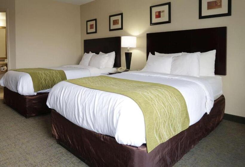 هتل Comfort Inn Southwest Fwy At Westpark