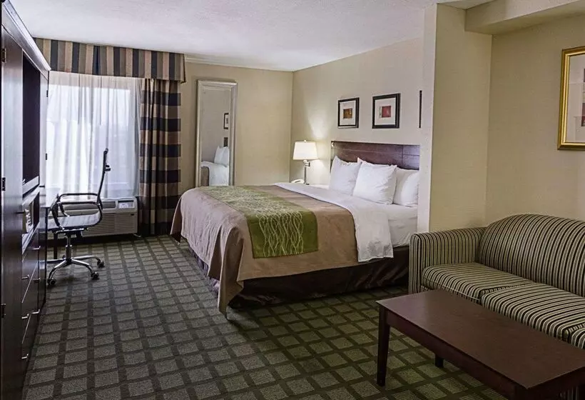 酒店 Comfort Inn Southwest Fwy At Westpark