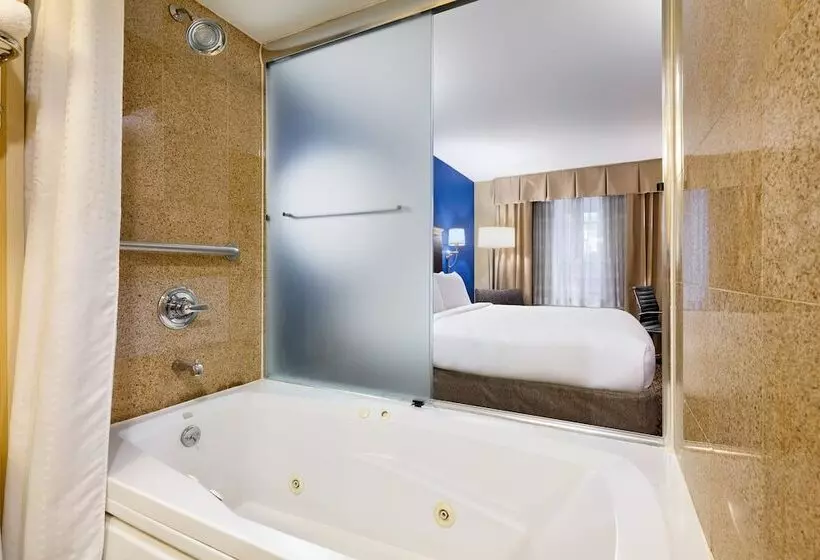 酒店 Holiday Inn Express New York City Chelsea, An Ihg