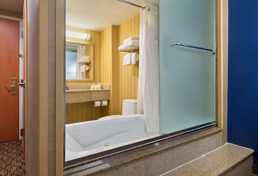 酒店 Holiday Inn Express New York City Chelsea, An Ihg