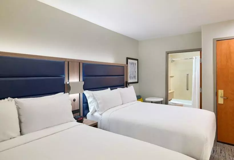 酒店 Holiday Inn Express New York City Chelsea, An Ihg