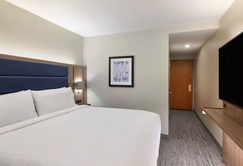 酒店 Holiday Inn Express New York City Chelsea, An Ihg