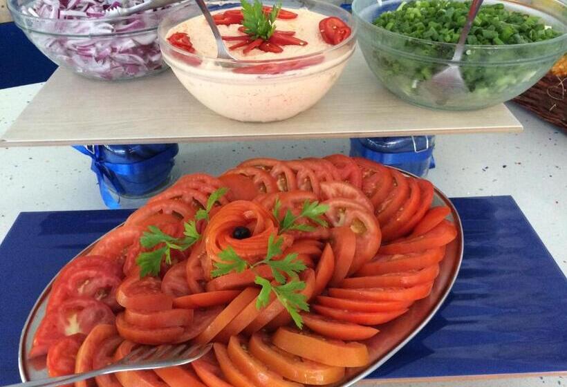 Palace Hotel   Half Board