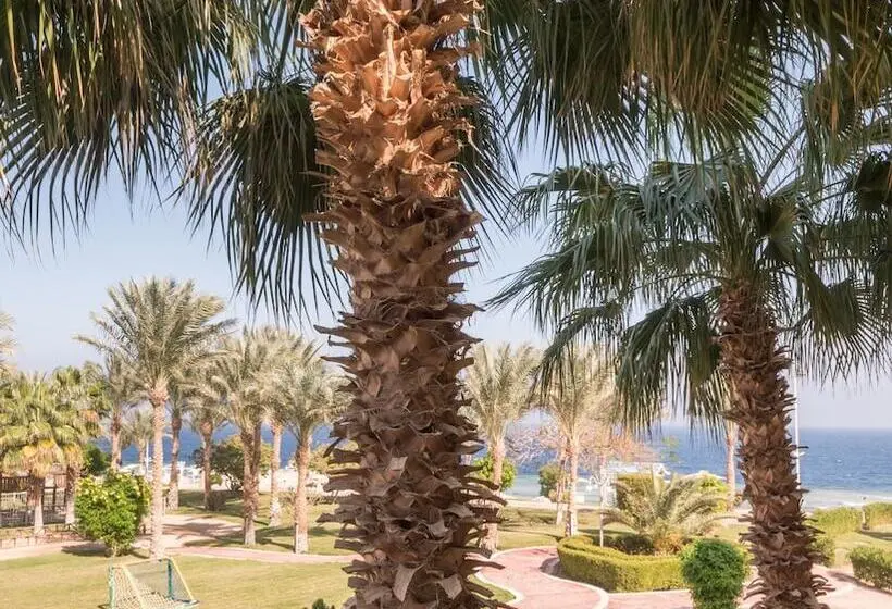 هتل SRNTY Sea Reef - Ex Serenity Alpha Beach