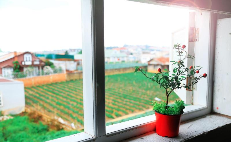 Hotel Hoai Huong Homestay