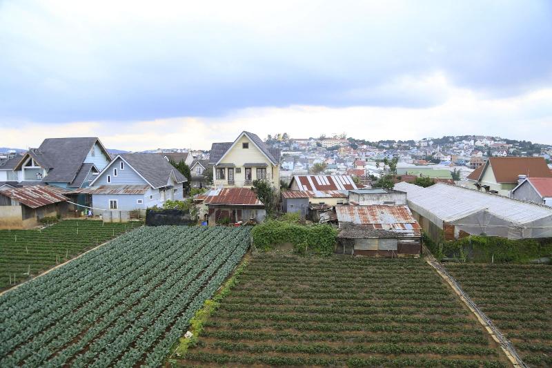 Hotel Hoai Huong Homestay