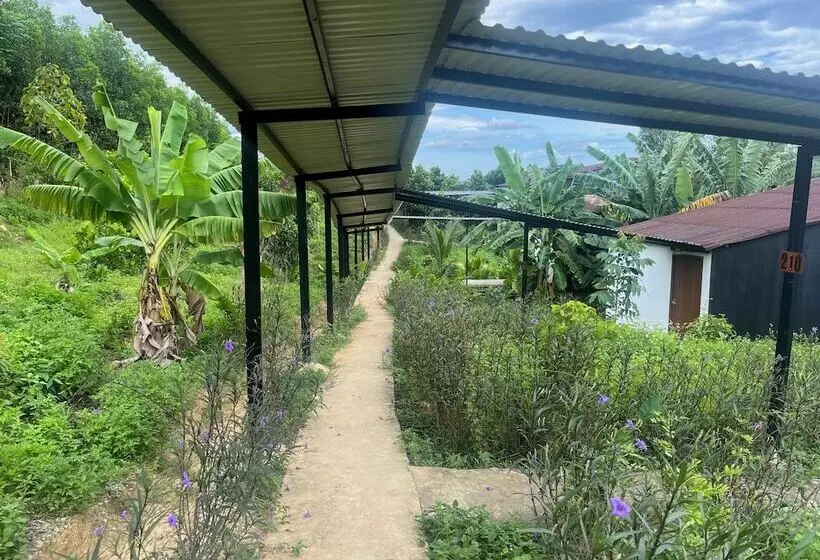 هتل Nguyen Shack Retreat Resort
