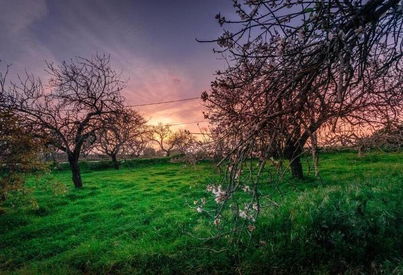 Apartamentos Solar Do Sol