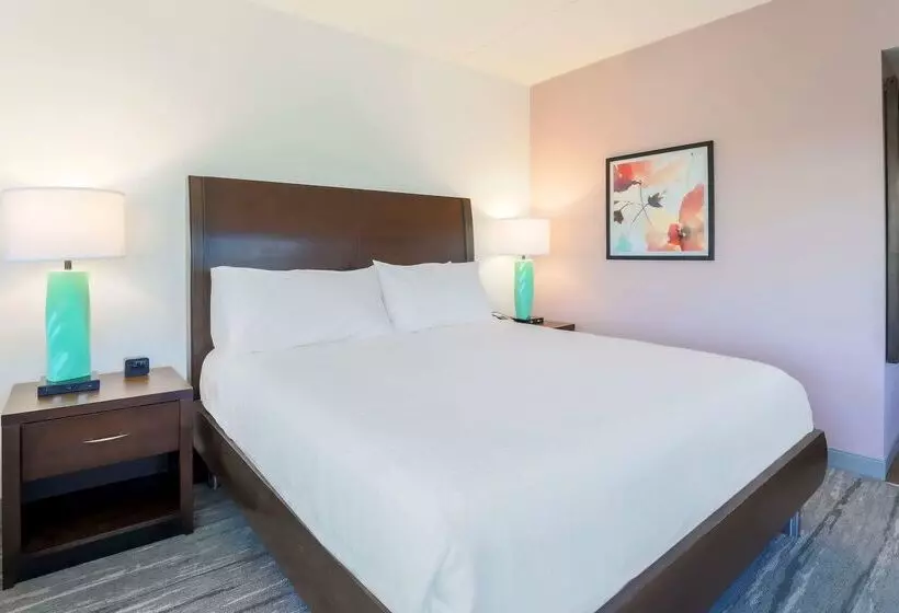 هتل Hilton Garden Inn Raleigh Durham/research Triangle Park