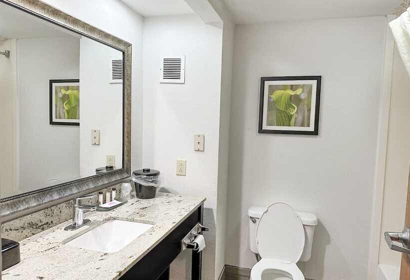 호텔 La Quinta Inn & Suites By Wyndham Jackson North