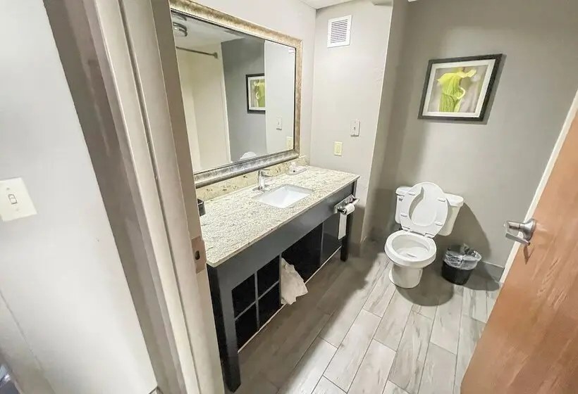 ホテル OYO Townhouse Jackson Ridgeland