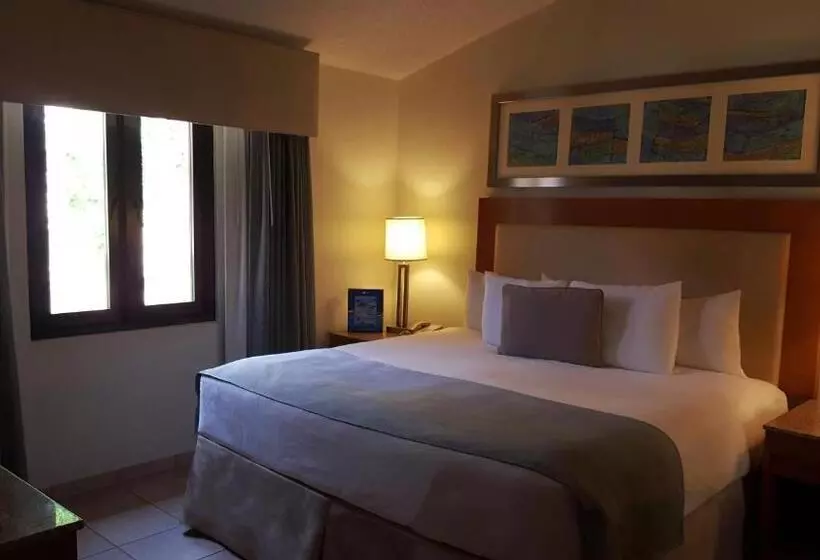 Отель Park Royal Homestay Club Cala Puerto Rico