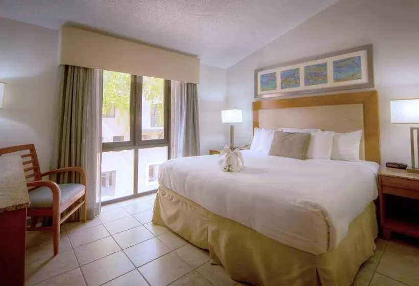 Отель Park Royal Homestay Club Cala Puerto Rico