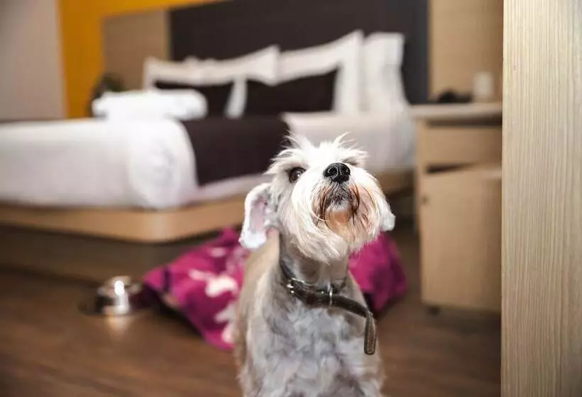 هتل Plaza Poblana