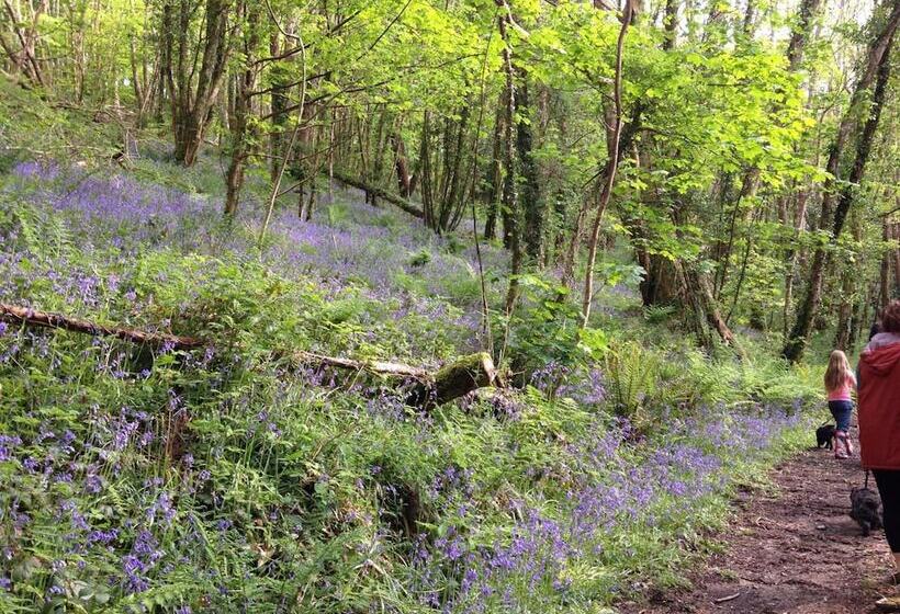 호텔 The Copley Arms