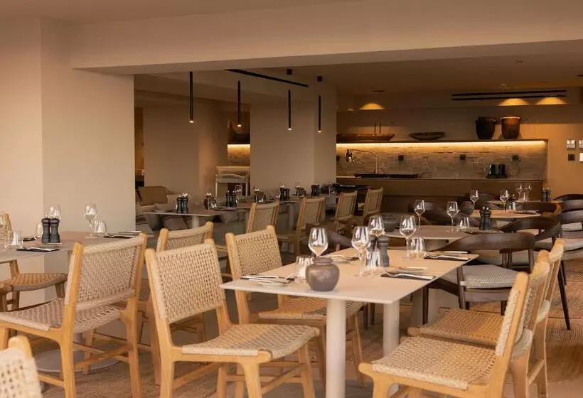 渡假胜地 Suntouch Suites