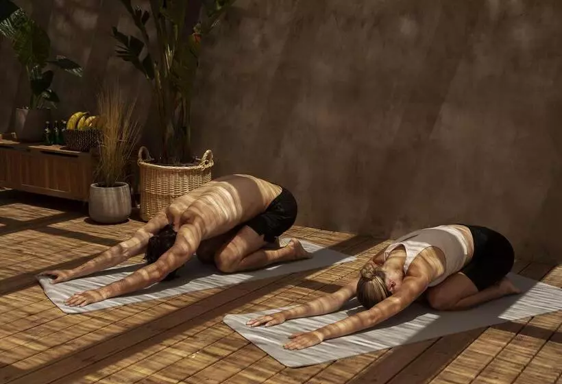 渡假胜地 Suntouch Suites