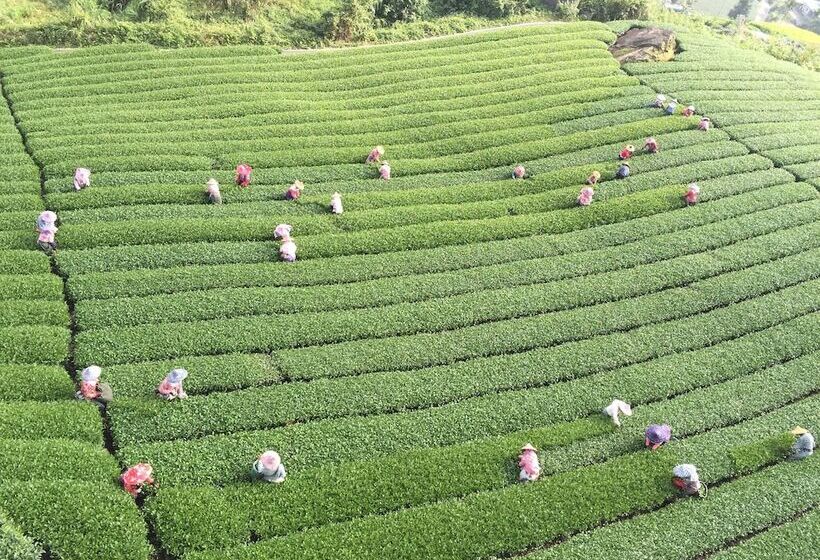 هتل Shan Ming Show B&b