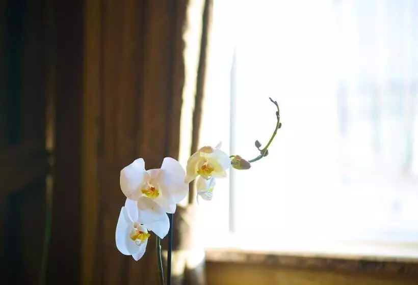 Hotel Grand Hilarium