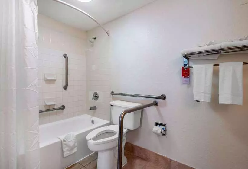ホテル Econo Lodge Airport   Rj Stadium