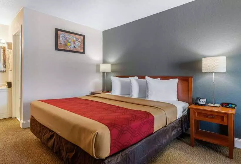 ホテル Econo Lodge Airport   Rj Stadium