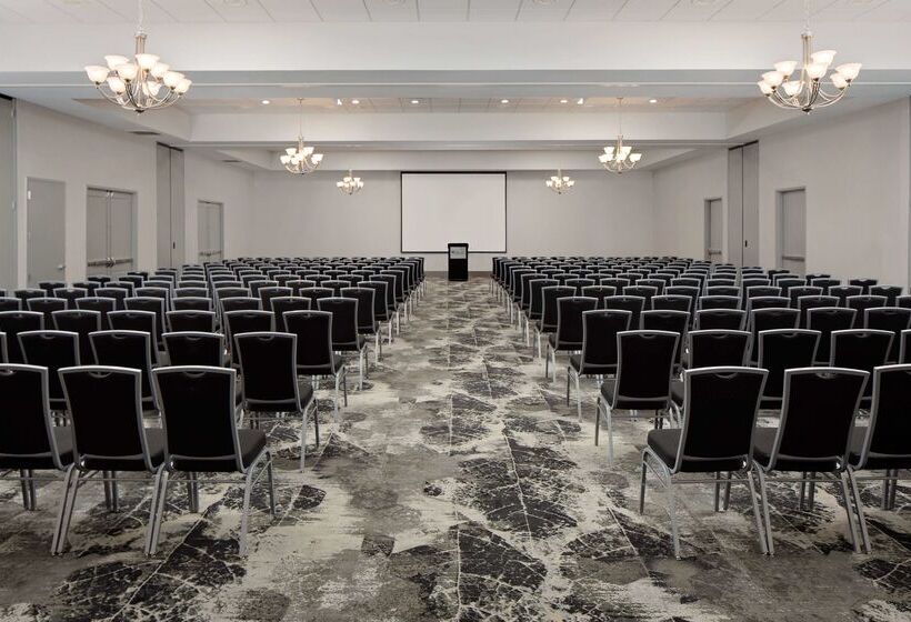 ホテル Hilton Garden Inn Dfw Airport South