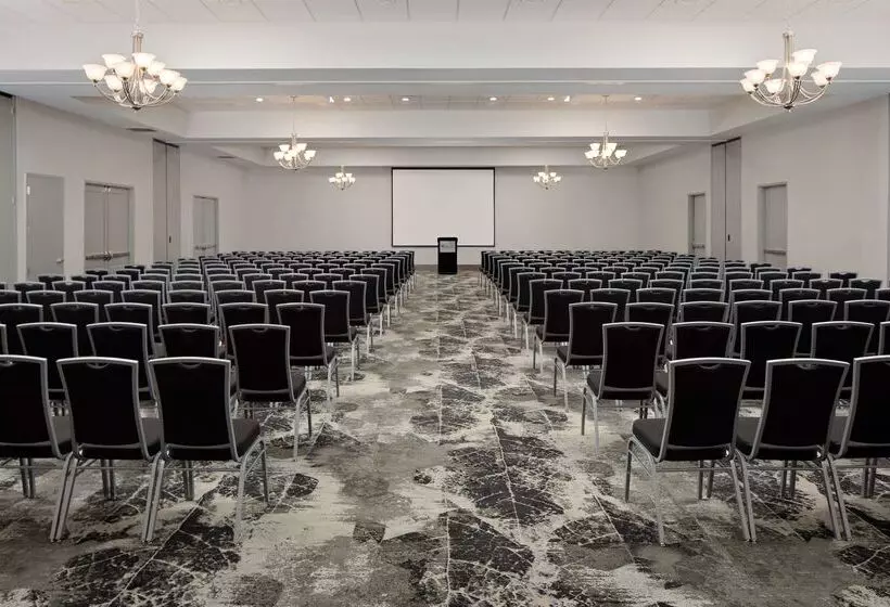 ホテル Hilton Garden Inn Dfw Airport South