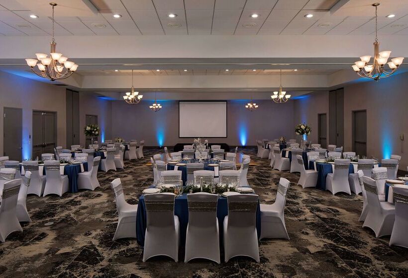 ホテル Hilton Garden Inn Dfw Airport South