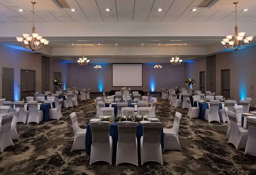 ホテル Hilton Garden Inn Dfw Airport South