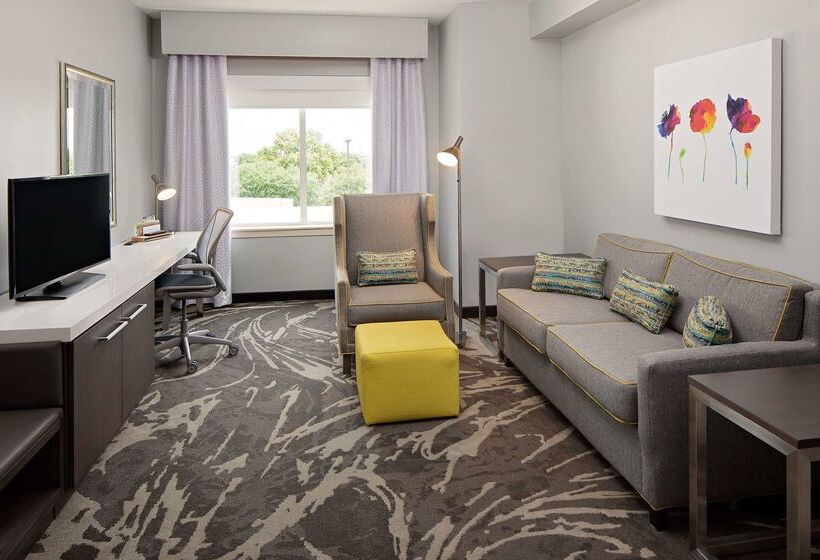 ホテル Hilton Garden Inn Dfw Airport South