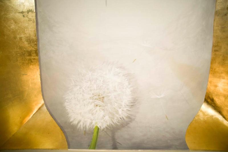 בית מלון כפרי Le Magnolie