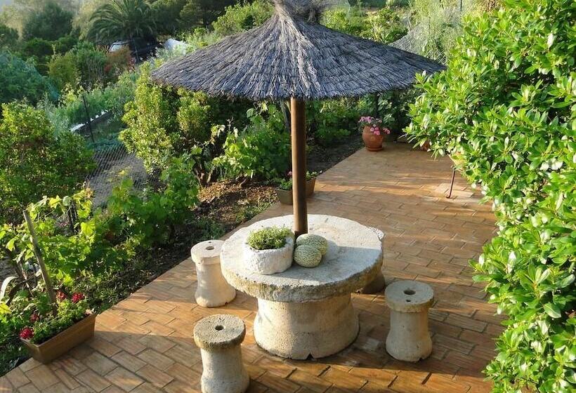 酒店 Monte Da Bravura Green Resort