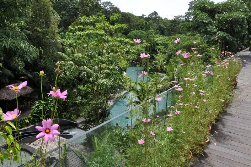 Hotel Siloso Beach Resort Sentosa