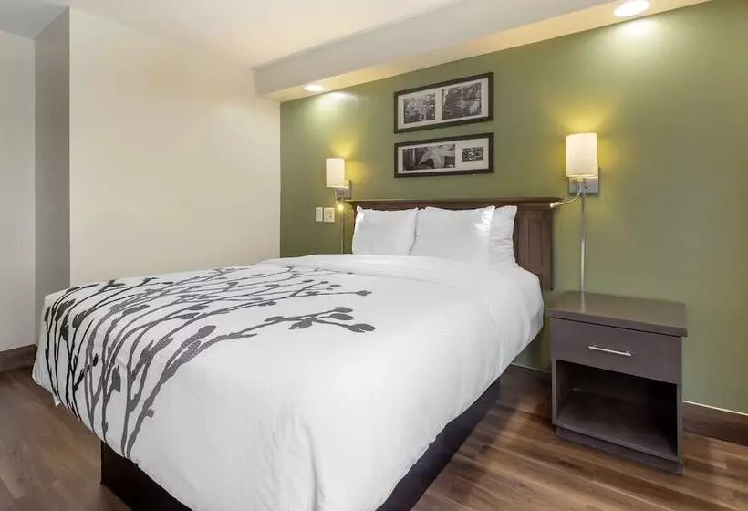 Отель Sleep Inn