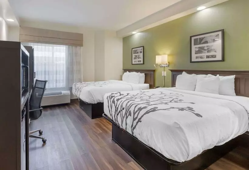 Отель Sleep Inn
