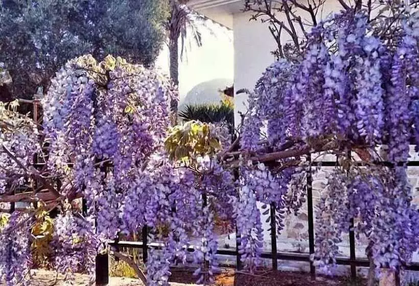 Irini Studios