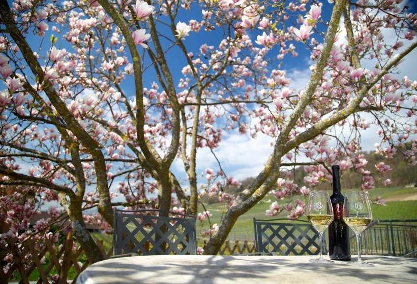 هتل Cave Beetschen