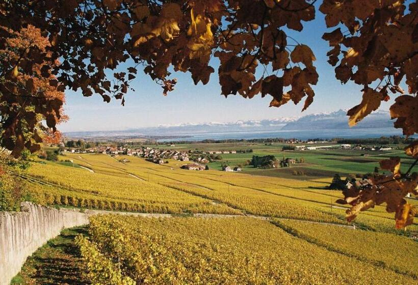 هتل Cave Beetschen