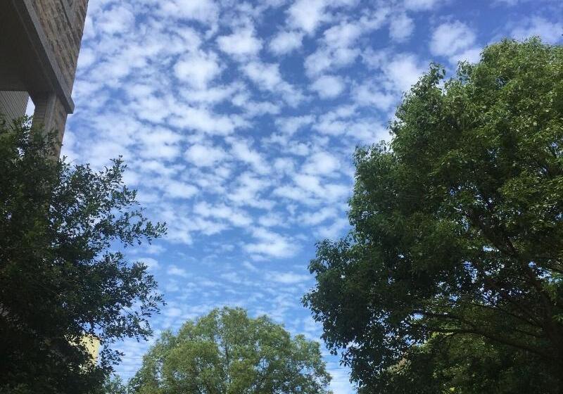 هتل Dan Dan House