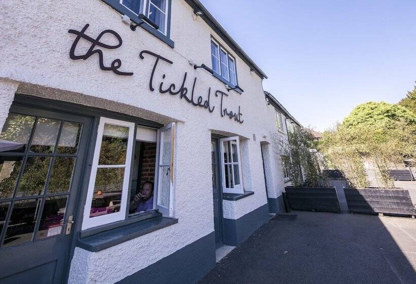 فندق The Tickled Trout