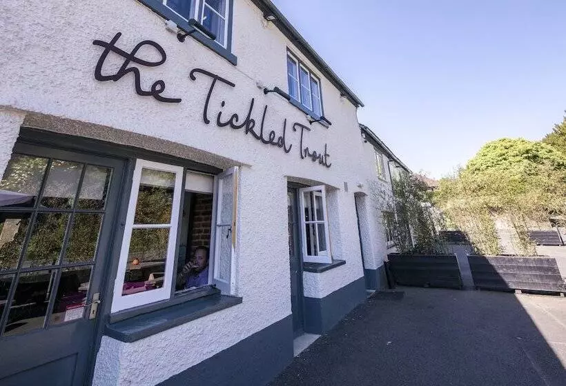 Hotelli The Tickled Trout