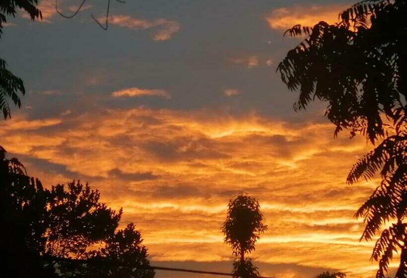 Общежитие Ella Foret Accommodation