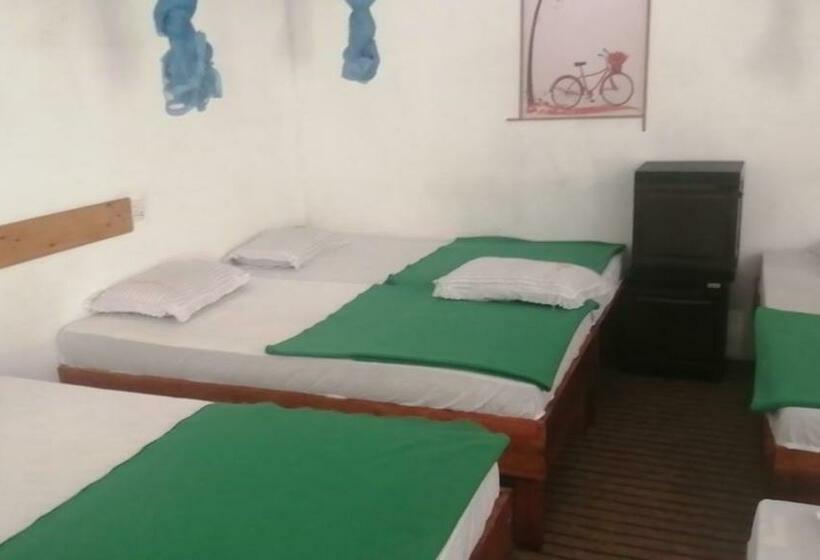 Общежитие Ella Foret Accommodation