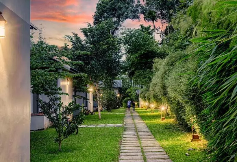 Coffee Greens Resort