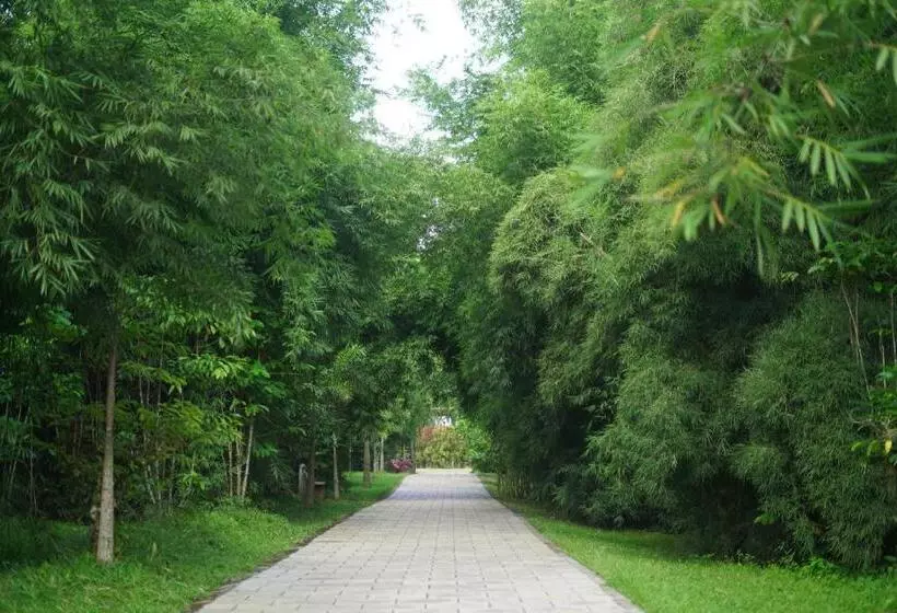 Coffee Greens Resort