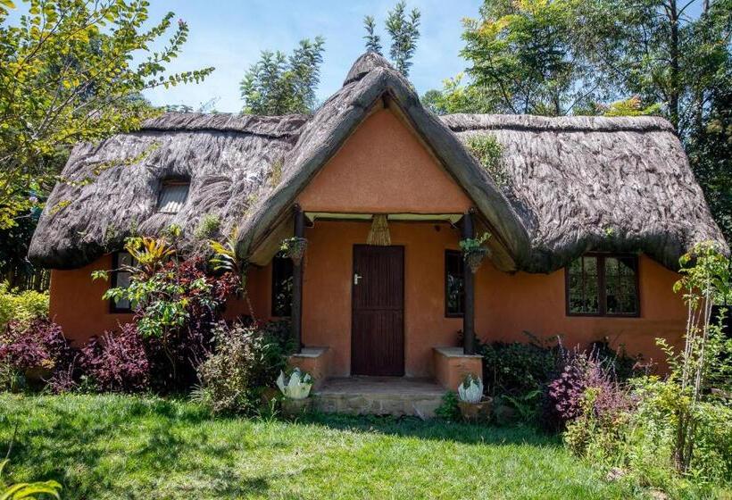 Hostel Etana Cottage