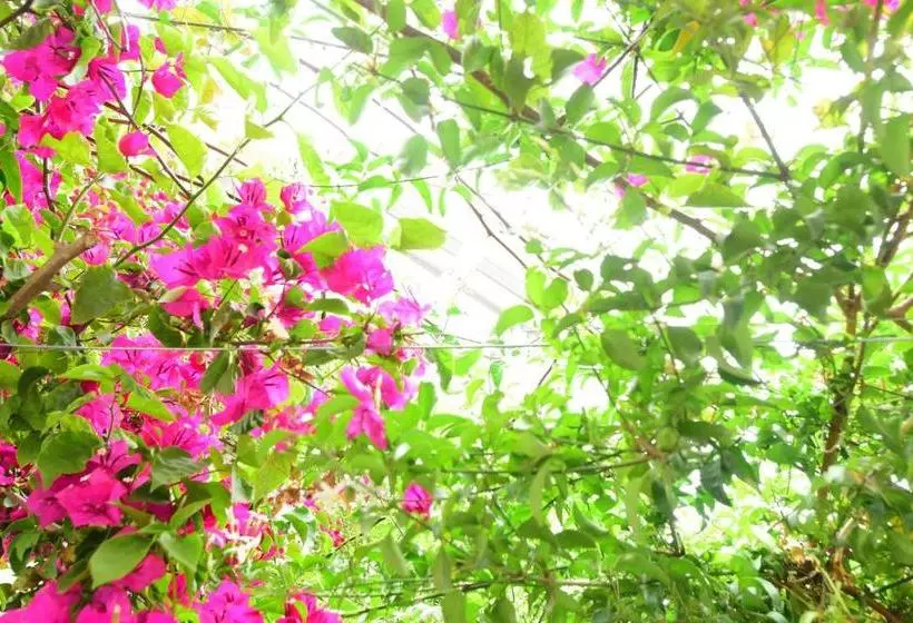 Hotelli Jardin D Azur Alaçatı