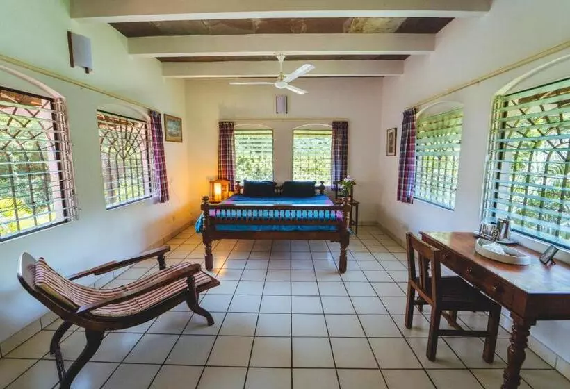 پانسیون Gaia's Garden Guest House